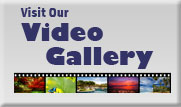 Visit Our Video Gallery